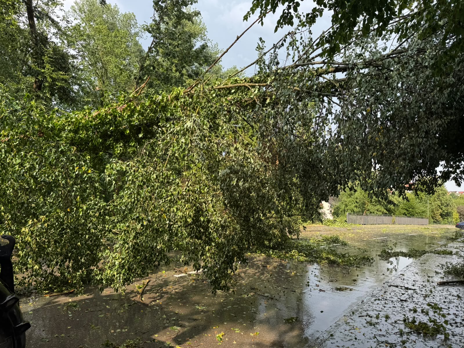 Nr. 68-85/26 THL Unwetter